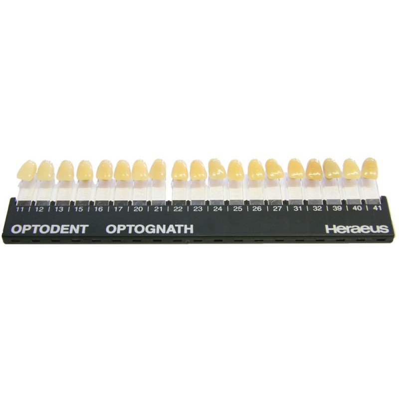 kulzer optodent bio ivo shade guide shade 11 41 1 shade conversion chart for denture teeth