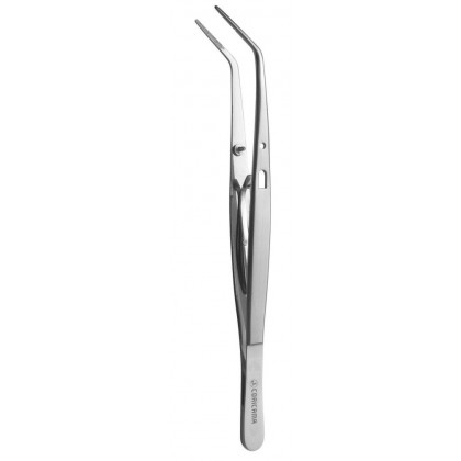 Coricama Italy - Tweezer College 150mm with Lock - Stainless Steel 162585 - 1pc