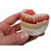 Kemdent Aesthetic Wax (Kemdent X Queen) 4x45g Pack (DWS920)