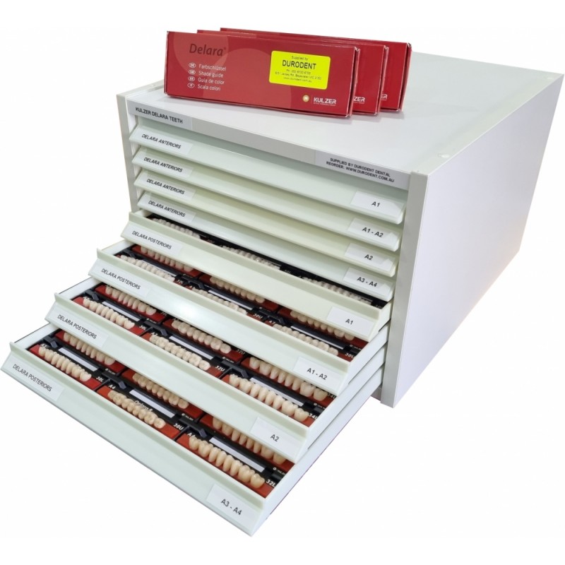 336 CARDS - FULL CABINET - Kulzer DELARA Acrylic Teeth - CUSTOM LAB ASSORTMENT WITH LABELLED STORAGE CABINET Setup Package - Made To Order