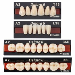 Kulzer DELARA 6/8 Acrylic Teeth - 3 Layer Highly Aesthetic CAD CAM Moulds - 1 Card (Top Selling Mid Level - Incredible Value, Performance and Aesthetics)