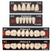 336 CARDS - FULL CABINET - Kulzer DELARA Acrylic Teeth - CUSTOM LAB ASSORTMENT WITH LABELLED STORAGE CABINET Setup Package - Made To Order