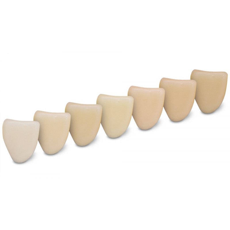 Kulzer DIMA Print Resin - Denture Teeth 1000g - Shade Options Available