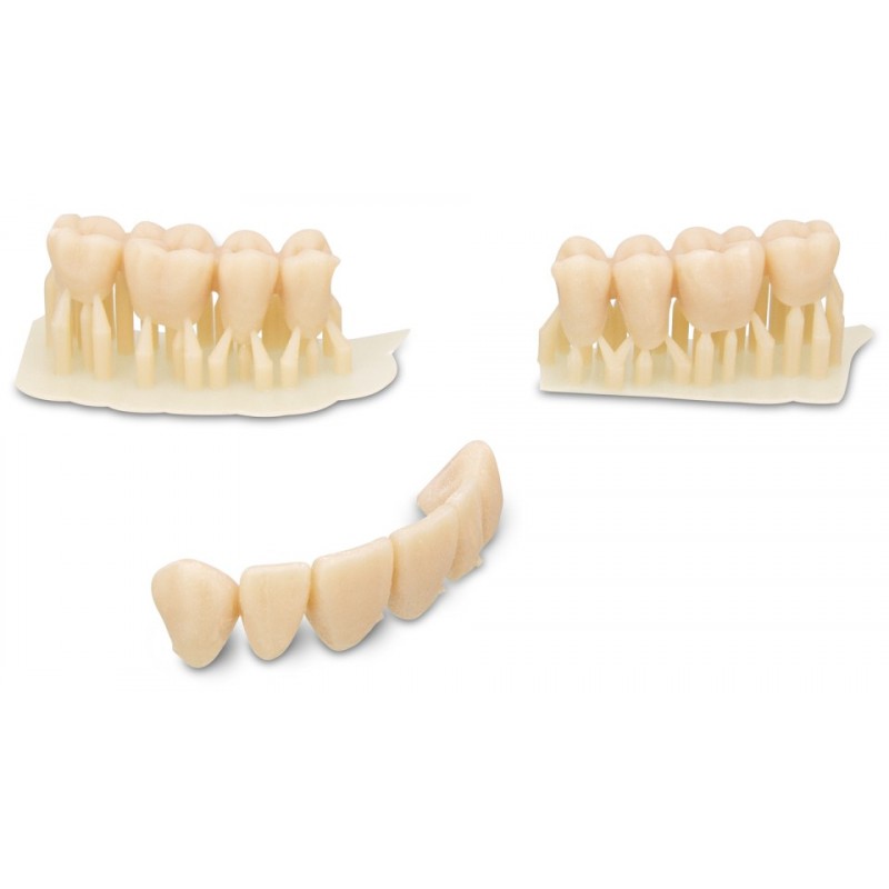 Kulzer DIMA Print Resin - Denture Teeth 1000g - Shade Options Available