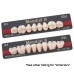 Kulzer PREMIUM 6 Anteriors / MONDIAL 8 Posteriors Acrylic Teeth Assortment Intro Case - 66058142 - Perfect selection for Implant Retained High End Dentures - VERY SPECIAL RESTRICTED OFFER - Strictly 1 Per Customer Only Thank You
