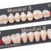 Kulzer Pala MONDIAL 8 Posterior NanoPearl Acrylic Teeth (Kulzers High End Denture Teeth Range) - All Indications - POSTERIORS - 1 Card