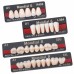 Kulzer Pala MONDIAL 8 Posterior NanoPearl Acrylic Teeth (Kulzers High End Denture Teeth Range) - All Indications - POSTERIORS - 1 Card