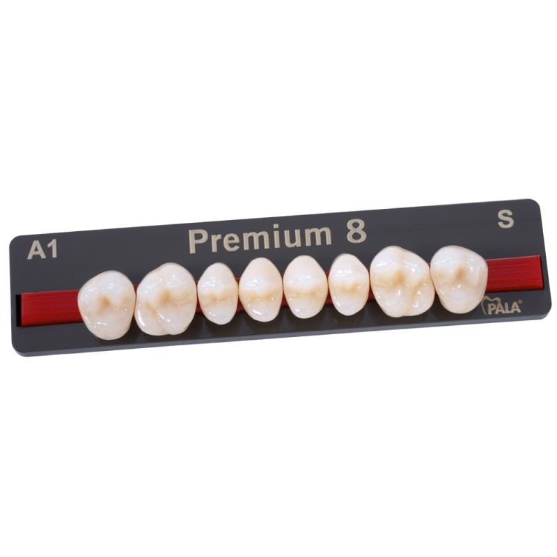 Kulzer Pala PREMIUM 6/8 NanoPearl Acrylic Teeth (Kulzers Highest Quality Full Anatomical Tooth Range) - 1 Card