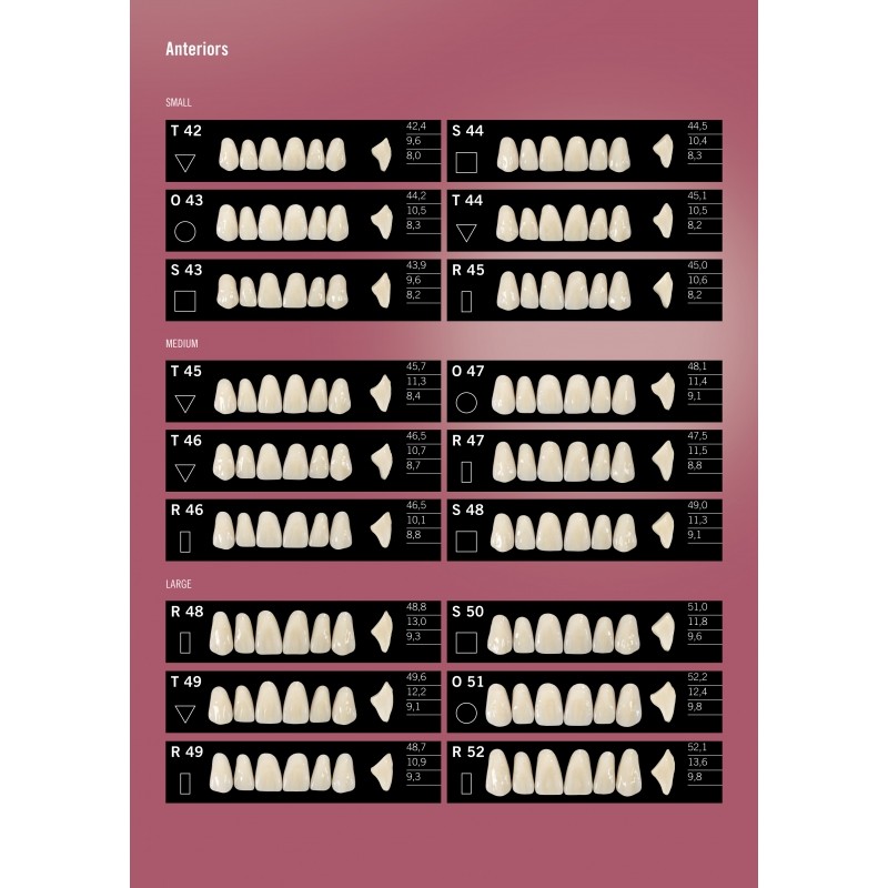 Kulzer DELARA 6/8 Acrylic Teeth - 3 Layer Highly Aesthetic CAD CAM Moulds - 1 Card (Top Selling Mid Level - Incredible Value, Performance and Aesthetics)