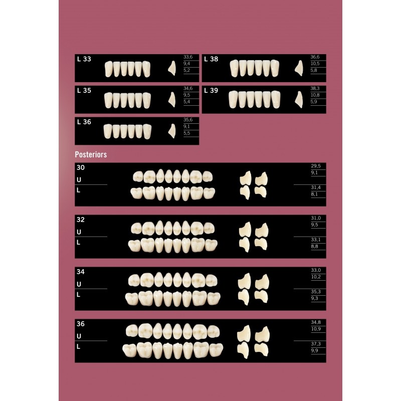 Kulzer DELARA 6/8 Acrylic Teeth - 3 Layer Highly Aesthetic CAD CAM Moulds - 1 Card (Top Selling Mid Level - Incredible Value, Performance and Aesthetics)