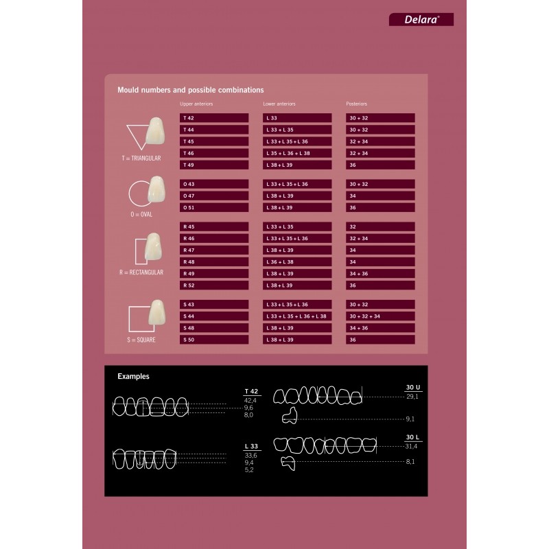 Kulzer DELARA 6/8 Acrylic Teeth - 3 Layer Highly Aesthetic CAD CAM Moulds - 1 Card (Top Selling Mid Level - Incredible Value, Performance and Aesthetics)