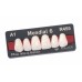 Kulzer Pala MONDIAL 6/8 NanoPearl Acrylic Teeth (Kulzer Classic High End Denture Teeth Range) - 1 Card