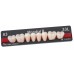 Kulzer Pala MONDIAL 6/8 NanoPearl Acrylic Teeth (Kulzer Classic High End Denture Teeth Range) - 1 Card