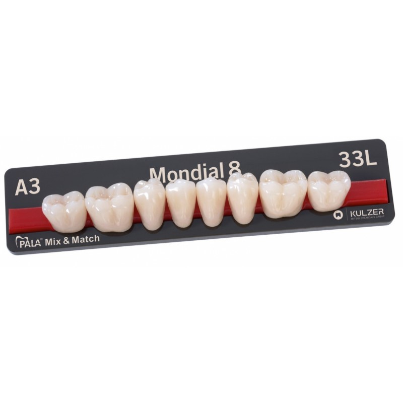 Kulzer Pala Mondial 6 8 Nanopearl Acrylic Teeth 1 Set