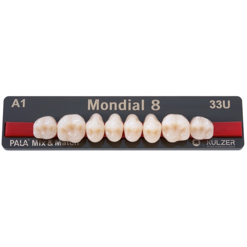 252 Card - 3/4 Full Cabinet - Kulzer MONDIAL High End Acrylic Teeth - CUSTOM LAB ASSORTMENT WITH LABELLED STORAGE CABINET Setup Package - Made To Order