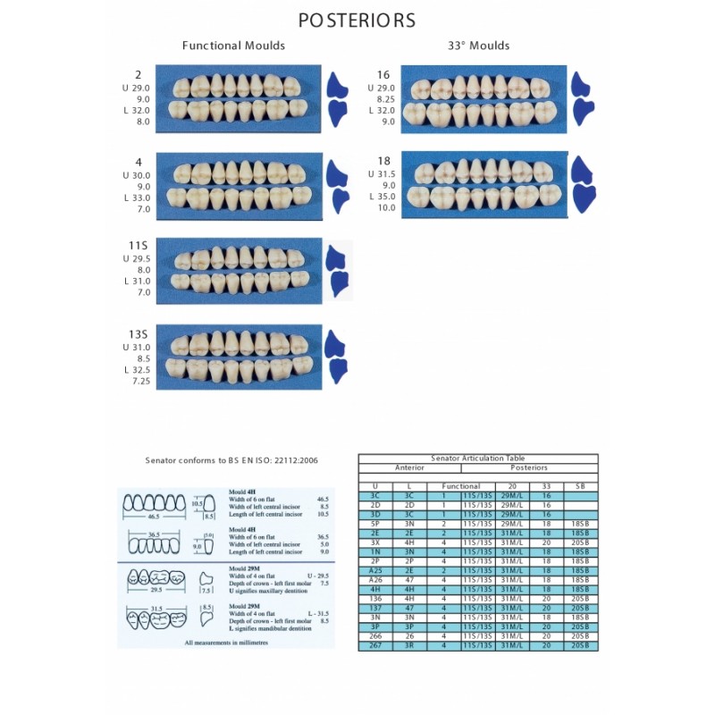 Wright SENATOR Acrylic Teeth (3 Layer) - 1 Card (Classic Moulds - Value Range)